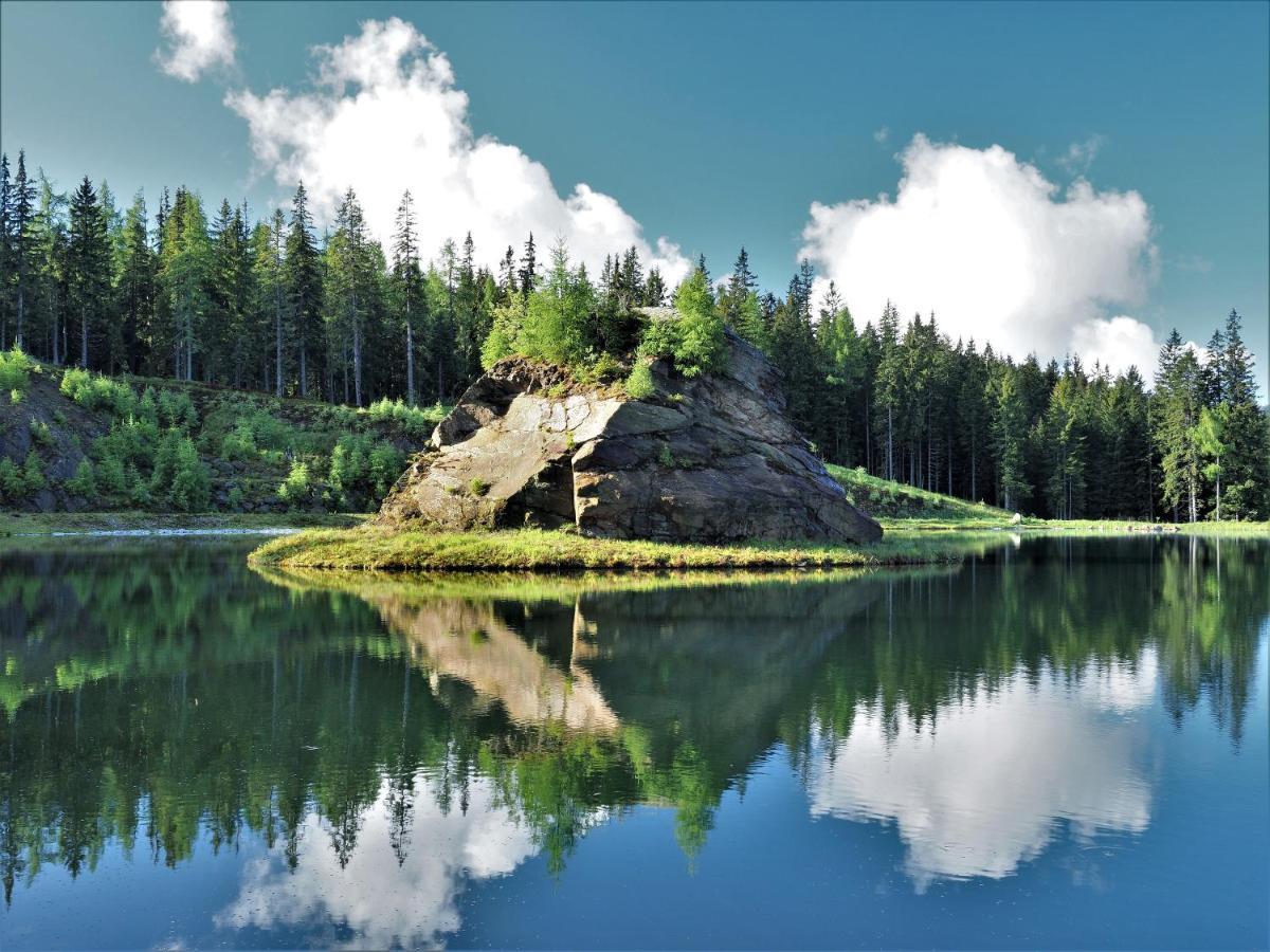 Naturforsthaus Gartenblick Fuer Hunde - Und Naturverbundene Menschen Preitenegg Buitenkant foto