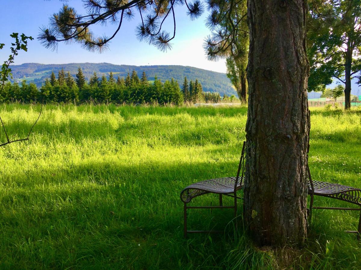 Naturforsthaus Gartenblick Fuer Hunde - Und Naturverbundene Menschen Preitenegg Buitenkant foto