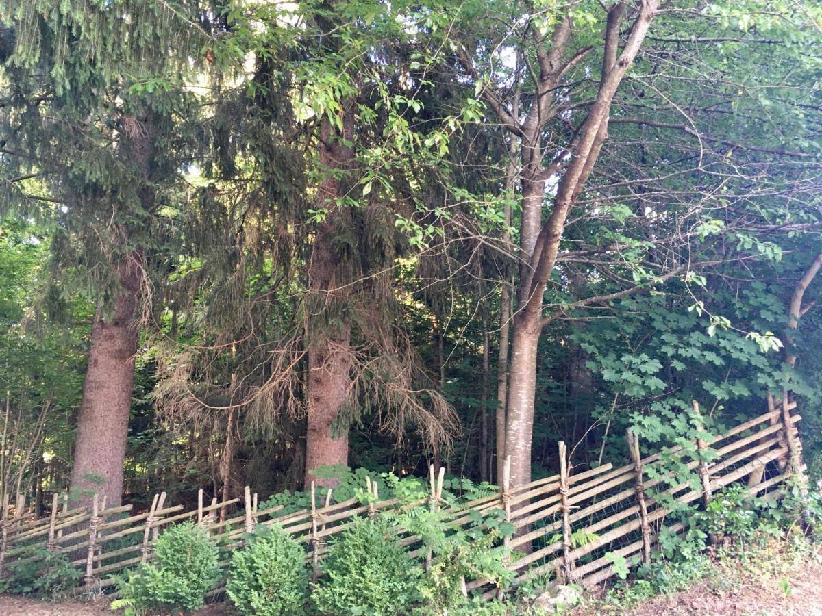 Naturforsthaus Gartenblick Fuer Hunde - Und Naturverbundene Menschen Preitenegg Buitenkant foto