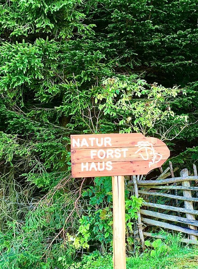 Naturforsthaus Gartenblick Fuer Hunde - Und Naturverbundene Menschen Preitenegg Buitenkant foto