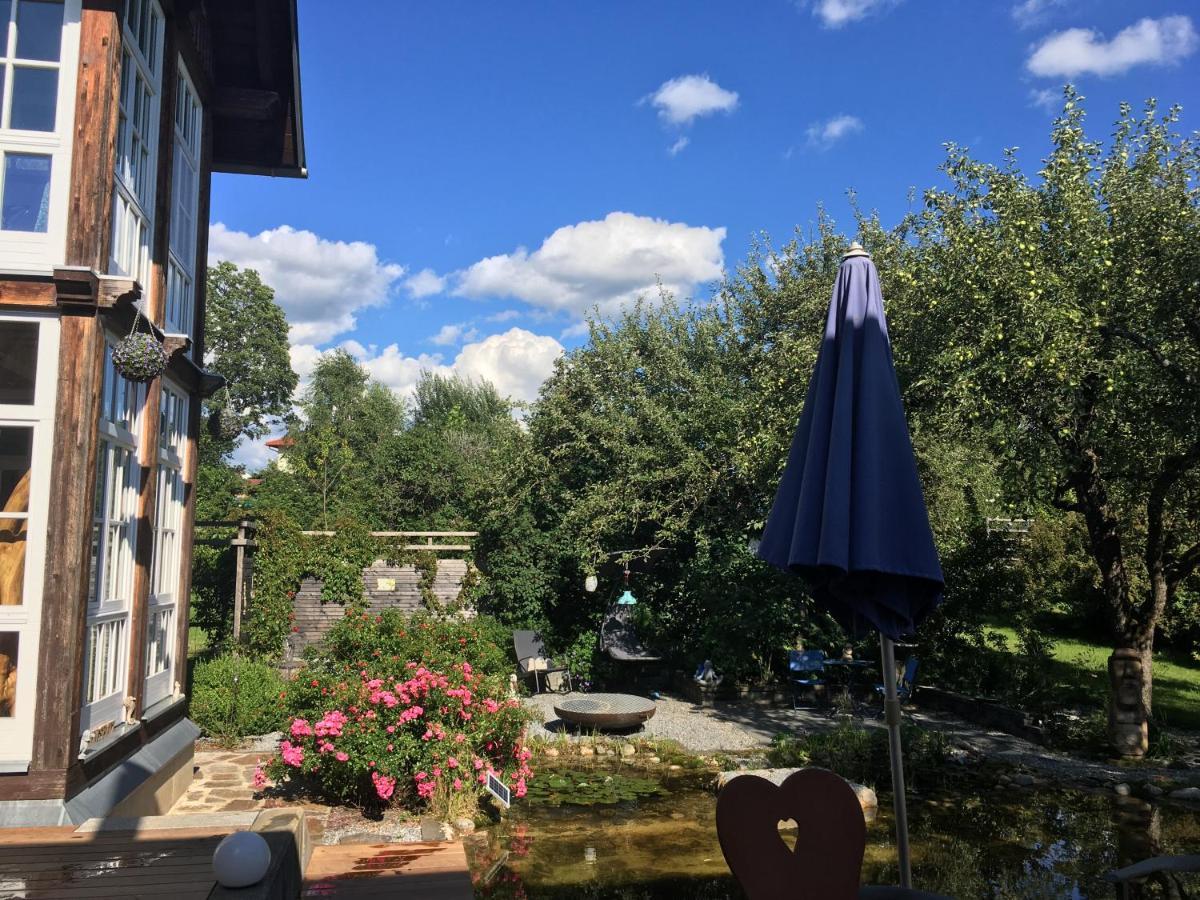 Naturforsthaus Gartenblick Fuer Hunde - Und Naturverbundene Menschen Preitenegg Buitenkant foto