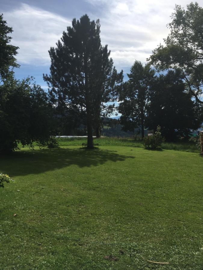 Naturforsthaus Gartenblick Fuer Hunde - Und Naturverbundene Menschen Preitenegg Buitenkant foto
