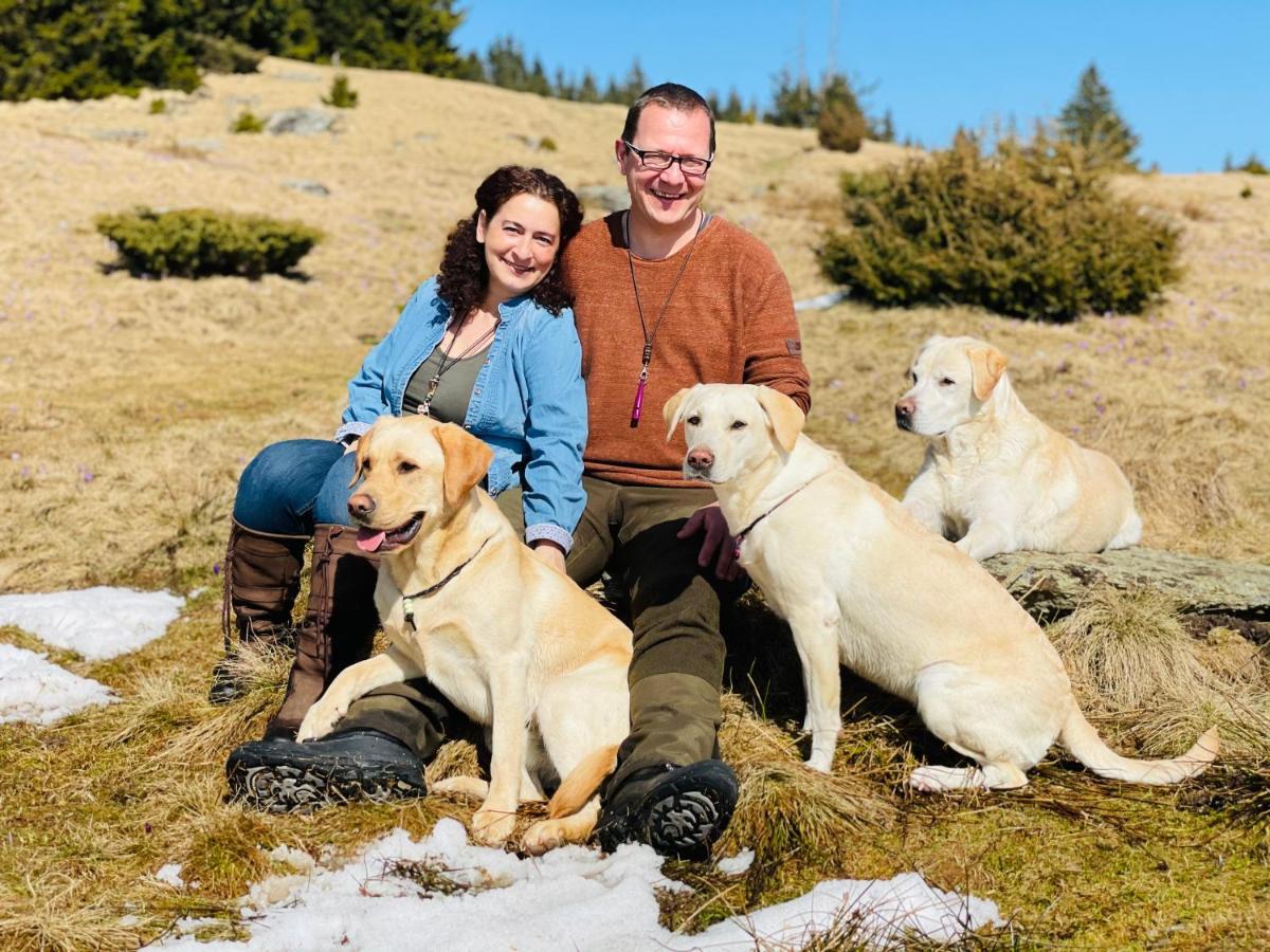 Naturforsthaus Gartenblick Fuer Hunde - Und Naturverbundene Menschen Preitenegg Buitenkant foto